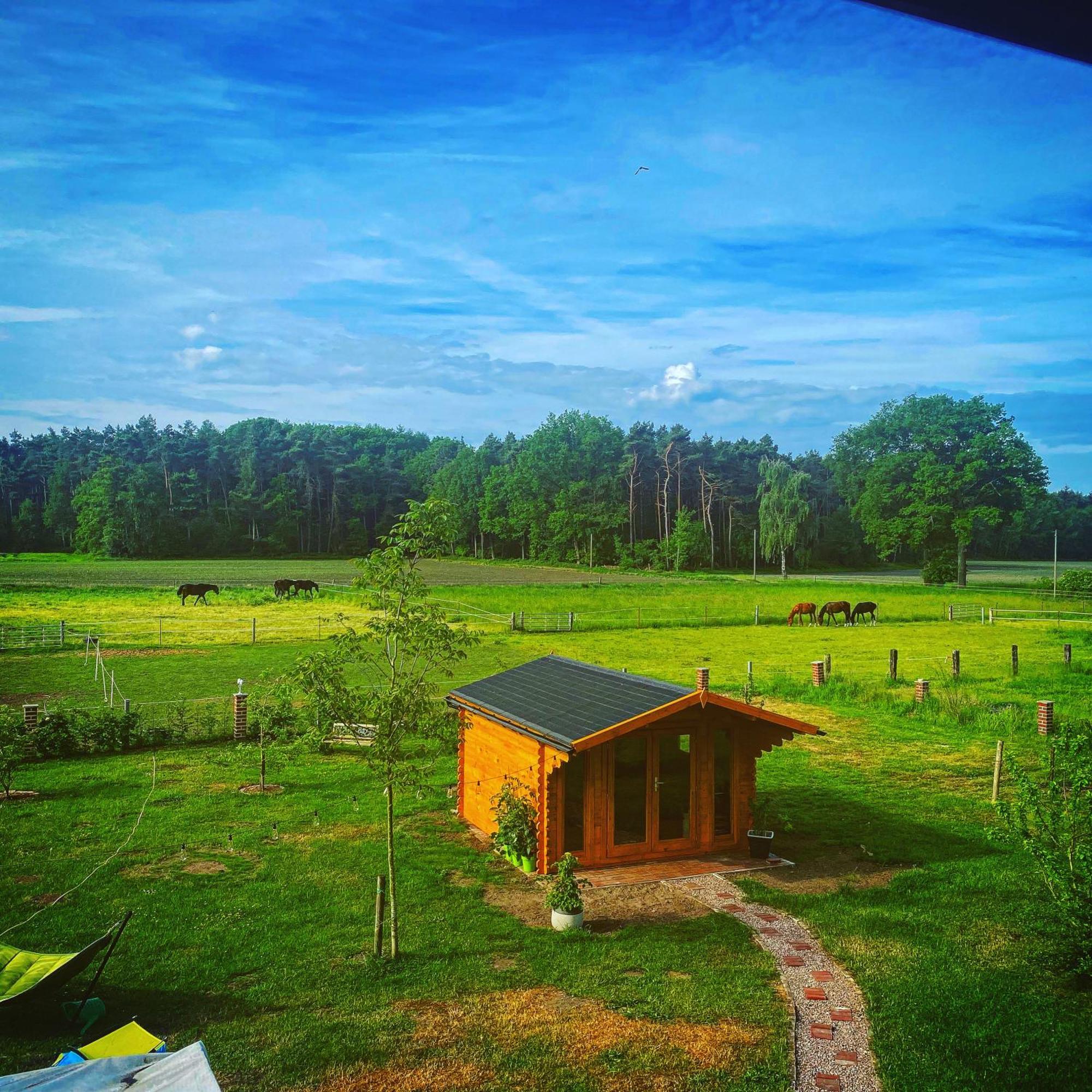 Wunderschoene Ferienwohnung Mit Balkon Auf Dem Bauernhof Гревен Экстерьер фото